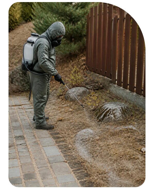 Обработка участка от змей в Кемерово по цене от 5203 р. | Сенат-Кмр